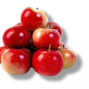 Яблоки из Польши