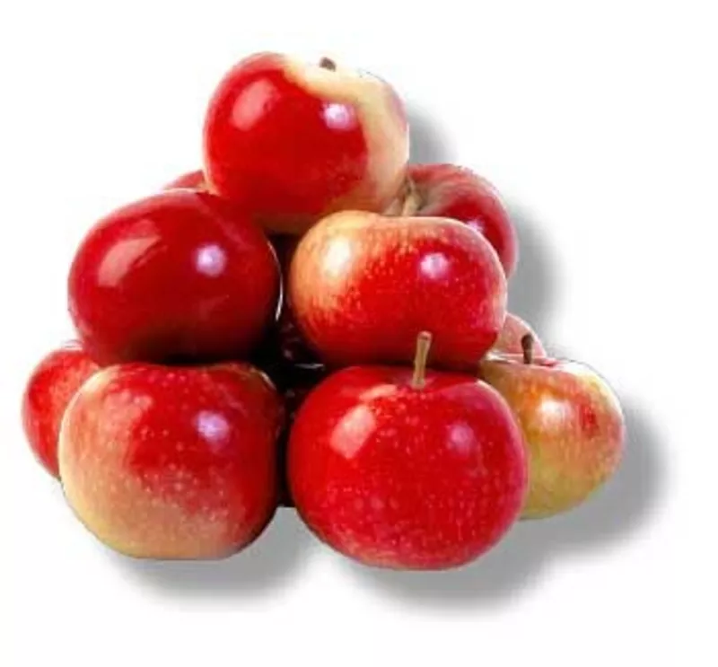 Яблоки из Польши